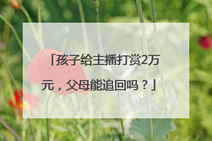 孩子给主播打赏2万元，父母能追回吗？