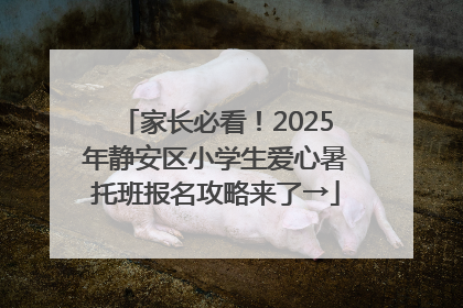 家长必看！2025年静安区小学生爱心暑托班报名攻略来了→