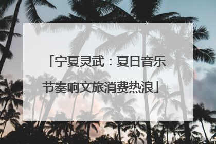 宁夏灵武：夏日音乐节奏响文旅消费热浪