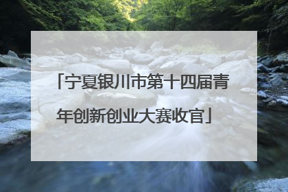 宁夏银川市第十四届青年创新创业大赛收官