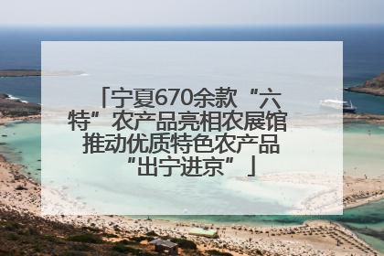 宁夏670余款“六特”农产品亮相农展馆 推动优质特色农产品“出宁进京”