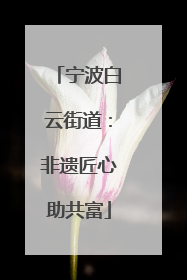 宁波白云街道：非遗匠心助共富