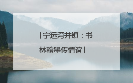 宁远湾井镇：书林翰墨传情谊