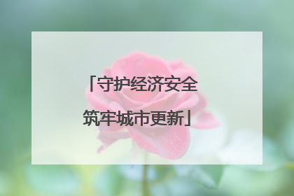 守护经济安全 筑牢城市更新