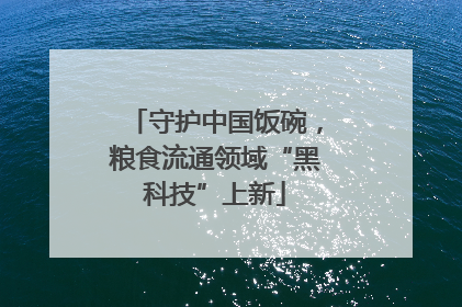 守护中国饭碗，粮食流通领域“黑科技”上新