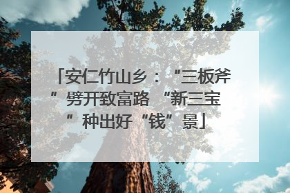 安仁竹山乡：“三板斧”劈开致富路 “新三宝”种出好“钱”景