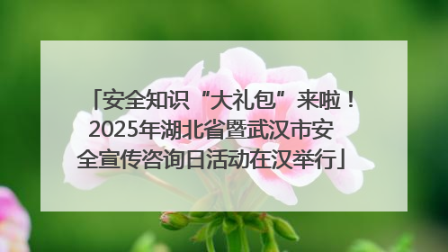 安全知识“大礼包”来啦！2025年湖北省暨武汉市安全宣传咨询日活动在汉举行