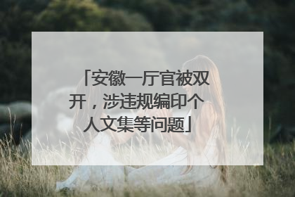 安徽一厅官被双开，涉违规编印个人文集等问题