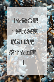 安徽合肥：警民深夜联动 助男孩平安回家