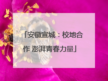 安徽宣城：校地合作 澎湃青春力量