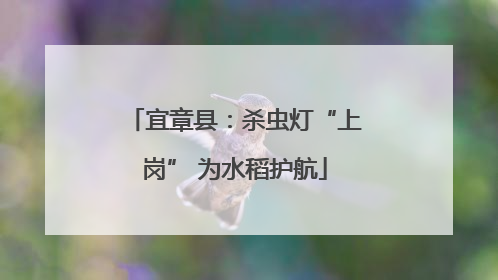宜章县：杀虫灯“上岗” 为水稻护航