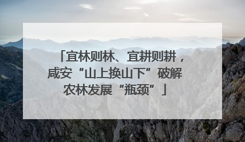 宜林则林、宜耕则耕，咸安“山上换山下”破解农林发展“瓶颈”