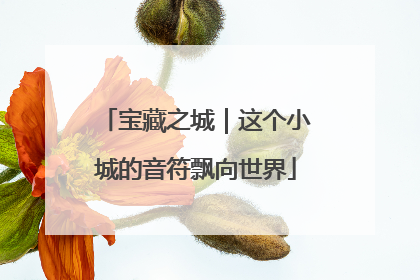 宝藏之城｜这个小城的音符飘向世界