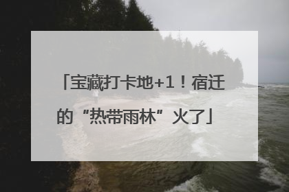 宝藏打卡地+1！宿迁的“热带雨林”火了