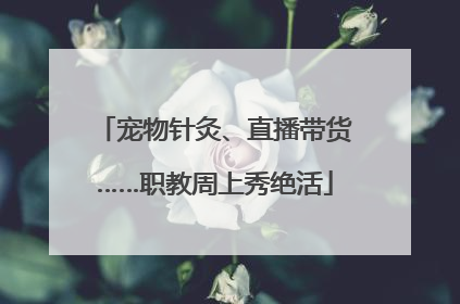 宠物针灸、直播带货……职教周上秀绝活
