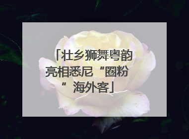 壮乡狮舞粤韵亮相悉尼“圈粉”海外客