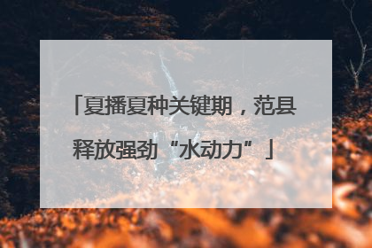 夏播夏种关键期，范县释放强劲“水动力”