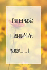 夏日限定！温县荷花初绽……