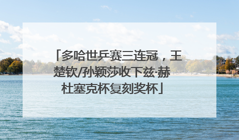 多哈世乒赛三连冠，王楚钦/孙颖莎收下兹·赫杜塞克杯复刻奖杯