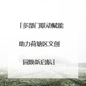 多部门联动赋能 助力荷塘区文创园焕新启航