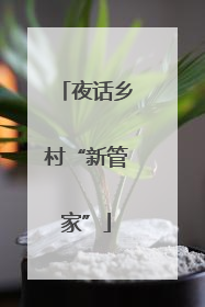 夜话乡村“新管家”