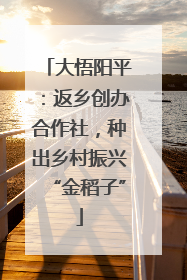大悟阳平：返乡创办合作社，种出乡村振兴“金稻子”