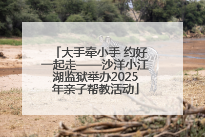 大手牵小手 约好一起走——沙洋小江湖监狱举办2025年亲子帮教活动