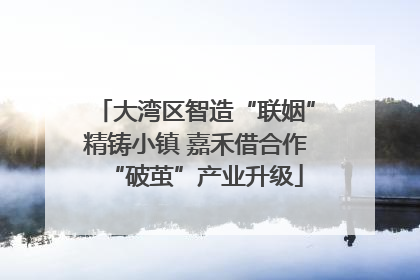 大湾区智造“联姻”精铸小镇 嘉禾借合作“破茧”产业升级