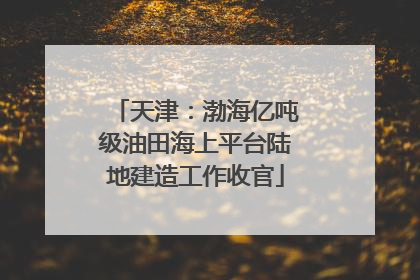 天津：渤海亿吨级油田海上平台陆地建造工作收官