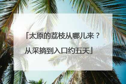 太原的荔枝从哪儿来？从采摘到入口约五天