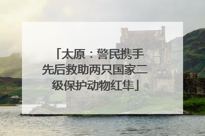太原：警民携手 先后救助两只国家二级保护动物红隼