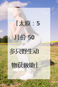 太原：5月份 50多只野生动物获救助
