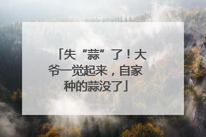 失“蒜”了！大爷一觉起来，自家种的蒜没了