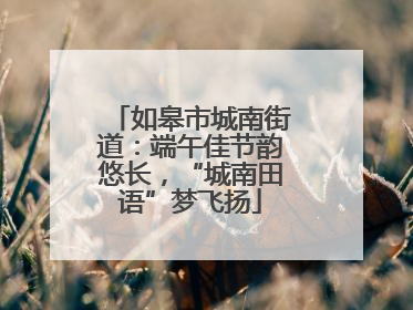 如皋市城南街道：端午佳节韵悠长，“城南田语”梦飞扬