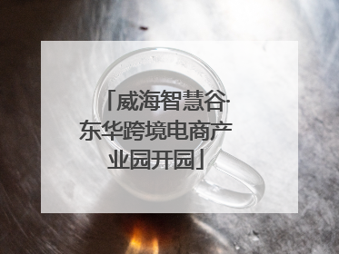 威海智慧谷·东华跨境电商产业园开园