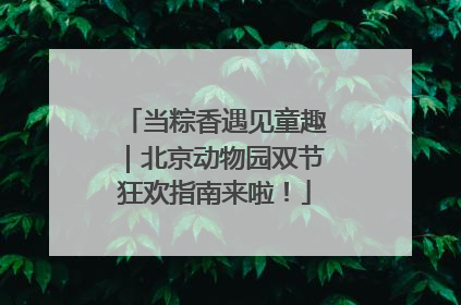 当粽香遇见童趣｜北京动物园双节狂欢指南来啦！