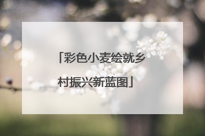 彩色小麦绘就乡村振兴新蓝图