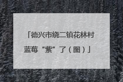 德兴市绕二镇花林村蓝莓“紫”了（图）