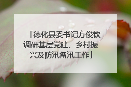 德化县委书记方俊钦调研基层党建、乡村振兴及防汛备汛工作