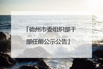 德州市委组织部干部任前公示公告