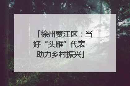 徐州贾汪区：当好“头雁”代表 助力乡村振兴