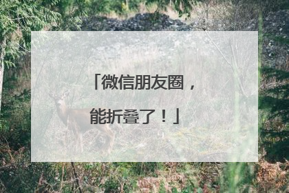 微信朋友圈，能折叠了！