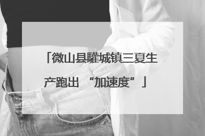 微山县驩城镇三夏生产跑出 “加速度”
