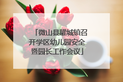 微山县驩城镇召开学区幼儿园安全暨园长工作会议