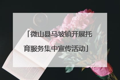 微山县马坡镇开展托育服务集中宣传活动