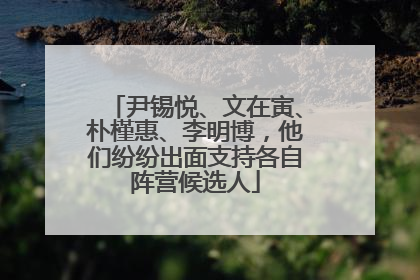 尹锡悦、文在寅、朴槿惠、李明博，他们纷纷出面支持各自阵营候选人