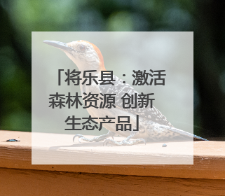 将乐县：激活森林资源 创新生态产品