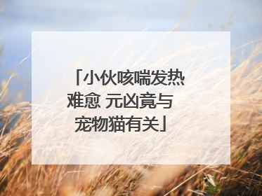 小伙咳喘发热难愈 元凶竟与宠物猫有关
