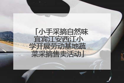 小手采摘自然味 宜宾江安西江小学开展劳动基地蔬菜采摘售卖活动