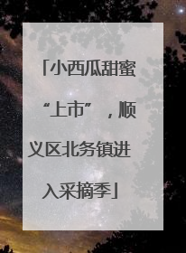 小西瓜甜蜜“上市”，顺义区北务镇进入采摘季